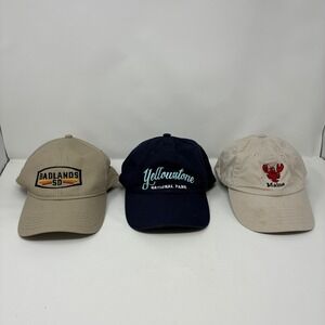 Lot of 3 National Park & Souvenir Hats Yellowstone Badlands Maine Lobster Caps
